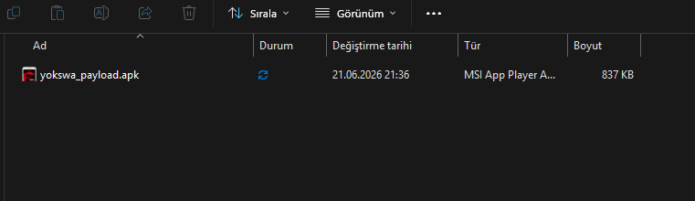 Extracted payload APK
