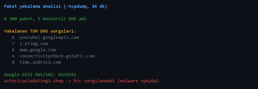 Full packet capture, all DNS is Google